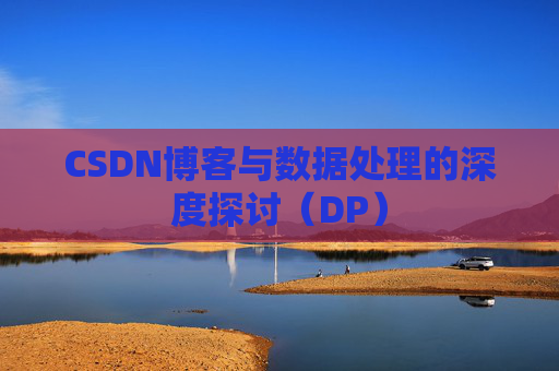 CSDN博客与数据处理的深度探讨（DP）